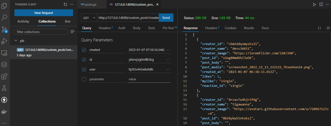 custom posts endpoint